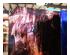 240399_3 thumbnail image