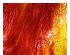 240403_1 thumbnail image