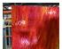 240403_3 thumbnail image