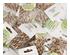 240417_9 thumbnail image