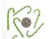 240418_3 thumbnail image