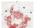 240419_9 thumbnail image