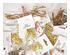 240420_9 thumbnail image