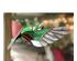 240425_4 thumbnail image