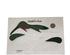 240425_9 thumbnail image