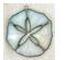 240429_1 thumbnail image