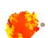 240453_9 thumbnail image