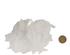 240465_9 thumbnail image