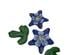 240471_5 thumbnail image