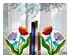 240474_4 thumbnail image