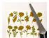 240480_2 thumbnail image