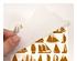 240485_1 thumbnail image
