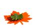 240499_3 thumbnail image