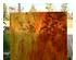 240502_1 thumbnail image