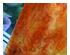 240502_2 thumbnail image