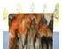 240512_1 thumbnail image