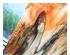 240512_2 thumbnail image