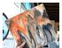 240512_3 thumbnail image