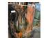 240512_5 thumbnail image