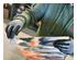 240512_8 thumbnail image