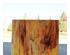 240517_1 thumbnail image