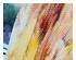 240517_2 thumbnail image