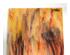 240517_6 thumbnail image