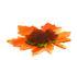 240522_3 thumbnail image