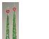 240537_6 thumbnail image