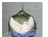 240545_4 thumbnail image