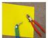 240601_5 thumbnail image