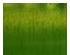 240681_1 thumbnail image
