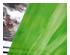 240693_2 thumbnail image