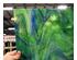 240701_4 thumbnail image