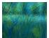 240705_1 thumbnail image