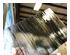 240713_3 thumbnail image