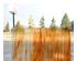 240737_1 thumbnail image