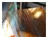 240737_3 thumbnail image