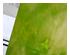 240741_2 thumbnail image