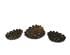 240755_2 thumbnail image