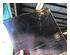 240779_3 thumbnail image