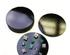 240817_2 thumbnail image