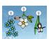 240837_8 thumbnail image