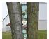 240839_7 thumbnail image