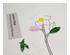 240846_2 thumbnail image