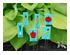 240850_2 thumbnail image