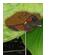 240850_3 thumbnail image