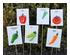240850_6 thumbnail image