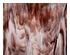 240868_1 thumbnail image