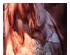 240868_2 thumbnail image
